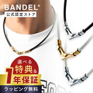 【レビュー特典】BANDEL バンデル 磁気ネックレス 磁気 ネックレス 140mT Healthcare Necklace V1 HLCV医…