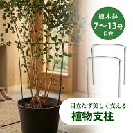 【レビュー特典】植物支柱 園芸支柱 半円観葉植物 園芸 おしゃれ ガーデニング 花 支える 支柱 花支え ガ…