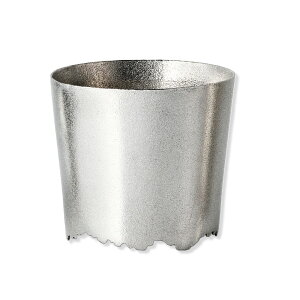 yr[TziKGvX NAGAE+ SHIZUKU   x   T-007-SOJ Vo[ SILVER { H e[uEFA  ̓ Mtg