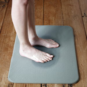 ソイルバスマットライトカバーセットsoillight珪藻土速乾薄型パルプ入りタイプイスルギ吸水吸湿トリックハンタースマステNスタ