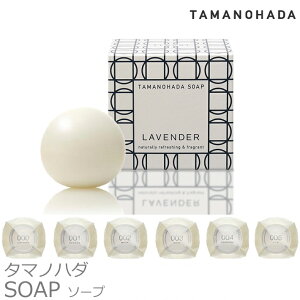 TAMANOHADA ^}mn_\[v 125g ʂ̔Ό ^}mn_6  ΂ Ό  {fBPA ^}mn_ Mtg v[g