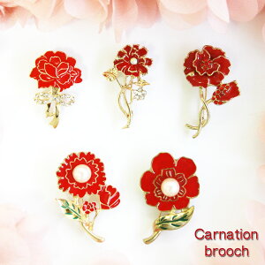 u[` ANZT[ J[l[V Ԃ p[ ̓ v[g v[g