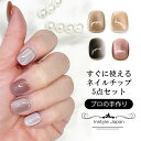 ネイルチップ ショート 短め 40種類 家事OK 大人のつけ爪 秋冬ネイル マグネットネイル サロン級 プロネイリスト手作…