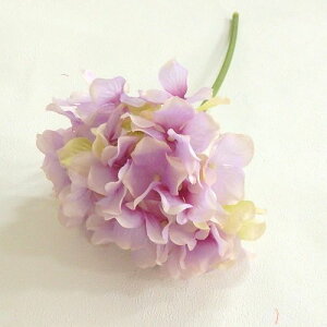 yԁzyAWgz nChWA sbN x_[