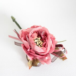 yԁzyAWz v`u[P sIj[ C