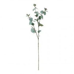 yACr[zynMOz[J Xv[ u[/O[