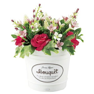 yAWgzyԁzt[|bg A}fBt[U[@u[P sNn