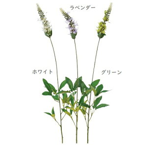 yx_[zyԁzx_[  x_[ 1F 1{