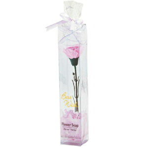 y̓zyv[gzJ[l[V t[\[v@ p[v ݌Ɍ