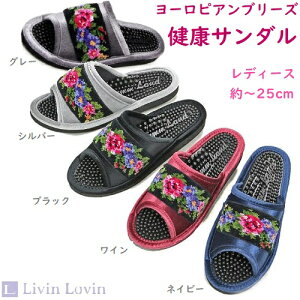 yNT_zyVFj[zNT_ [Y VFj[ L `25cm @O[̂݁@F[J[I