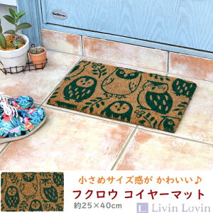 yցzyDƂzy}bgzDƂ o[RC[ ~j tNE