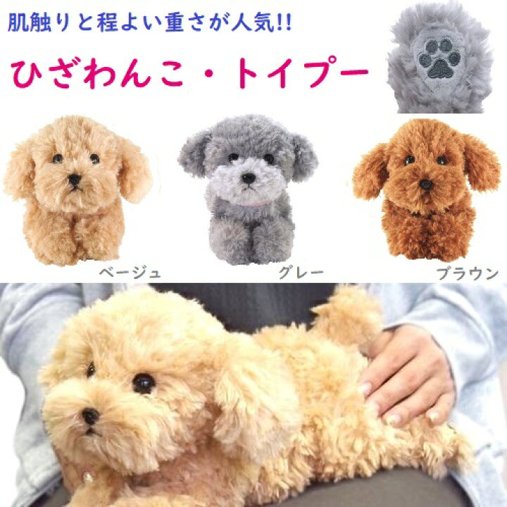 楽天市場 送料無料 ぬいぐるみ 犬トイプードル トイプ ぬいぐるみ ひざわんこ トイプードル リアル かわいい リアル 469 インテリア Livin Lovin