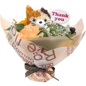 yzy̓zyAWgzAWt[ t[Aj} TL[u[P lR ~P uE