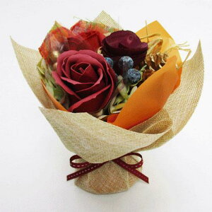 ynEBzyznEB \[vt[u[P S bh