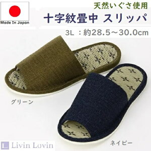 y3LXbpzyamXbpzXbp 3L \ R  a 30cm OKI