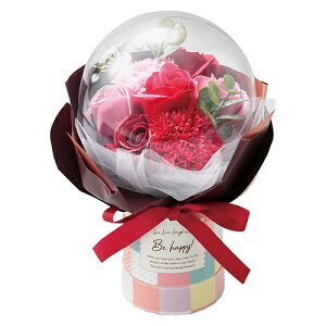 yzy̓zyAWgzAWt[ t[ o[V{ `FbN{bNX bh S