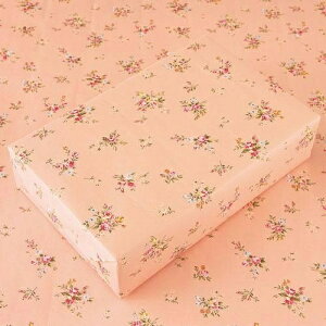 yzybsOz Ԃ S S 1