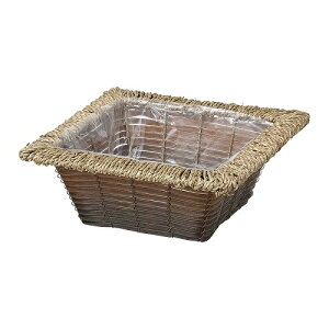 yt[AWzyԁzԊ zc  XNGA M A 񂹐A