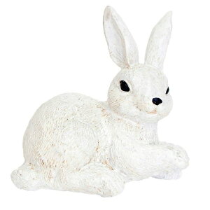 yuzyzu I[ig IuWF W rbg X  E  K[ftBMA