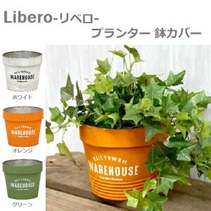 yJo[zyCeAzuL v^[ AW D4 x Livero  Jo[ t[|bg ꌊ