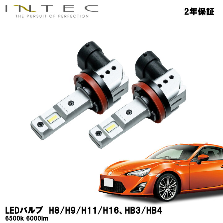 楽天市場】【マラソン期間中 全商品 P5倍 + クーポンあり】INTEC 