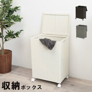  h[ {bNX ʏ oXPbg  i k XgbJ[ Vv 킢 RUD-2422 wLX^[t[{bNXx ykC1500~EE͕ʓr^܂