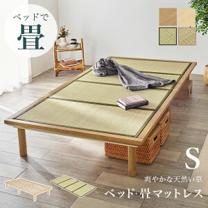 xbh ̂ xbh a ʔ WB-7717S wxbhyVOTCYzxyFkC2500~EE͕ʓr^܂z