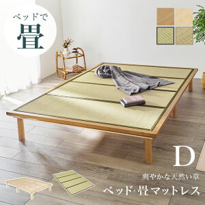 xbh ̂ xbh a ʔ WB-7717D wxbhy_uTCYzxyFkC2500~EE͕ʓr^܂z