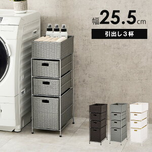 X h[ ʏ o oXPbg bN  i k XgbJ[ Vv 킢 RAN-2420 wh[`FXgo3ty 25.5zx ykC1500~EE͕