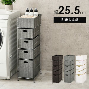 X h[ ʏ o oXPbg bN  i k XgbJ[ Vv 킢 RAN-2421 wh[`FXgo4ty 25.5zx ykC1500~EE͕