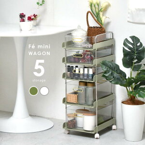 S Lb`S TChe[u  ݃J[  k  ʔ ONLS0134 wtF~jSy5izx yFkC1000~EE͕ʓr^܂z