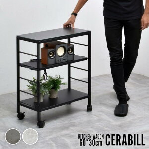 S Lb`S _CjOS fXNTChS Z~bN CELS0273 wCERABILL SxyFkC1500~EE͕ʓr^܂z