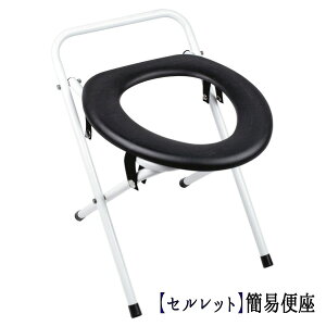 ȈՕ֍ ȈՃgC ЊQ h AEghA yFkC800~EE͕ʓr^܂z