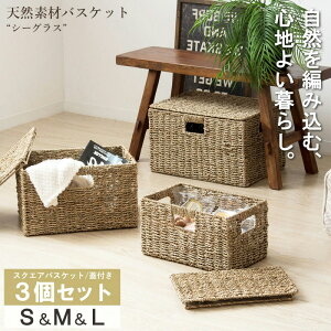 oXPbg VRf  3Zbg 咆 i` R IW-45 wVRfރoXPbg V[OX y XNGA3Zbg(ӂt) S/M/L z x yFkC1500~/E͕ʓr^