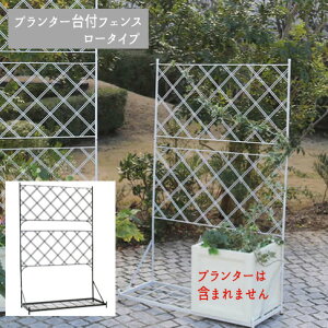 y[J[݌ɌztFX ACA K[ftFX K[fjO g  d؂  NVJ AeB[N gX IF-FP006 wv^[ttFXy[^Cvzx y