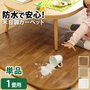 ؖڒzbgJ[ybgJo[y1^CvF98×200z O ؖ EbfB J[ybg ~  ʔ yFkC1000~/E͕ʓr^܂z