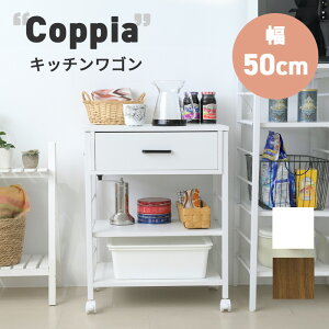 Lb`S LX^[t X Ƒ 50 s35 65 ъ g[X^[ H [ o t RpNg UNI-0013 wCOPPIA Lb`Sx yFkC1500~EE