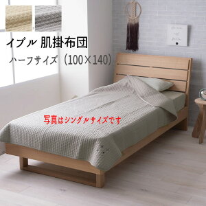 Q xr[ q Ԃ |zc 100 Cu 􂦂 wCu |zc yn[tTCY 100×140zx yFkC1000~EE͕ʓr^܂z