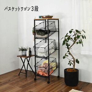 3i oXPbg  XgbJ[ X  ʔ BS-K1335 woXPbgS3ix yFkC1500~EE͕ʓr^܂z