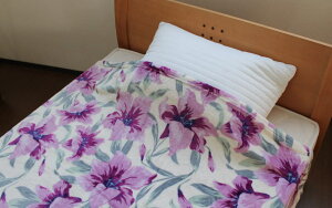 Ȃ߂炩pE_[ptѕztFG VOTCY VO  ѕz 140×190cm 􂦂 EHbVu Q sN u[  |ѕz ԕ H~ 