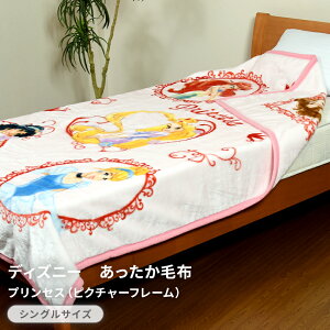 fBYj[@ѕzEvZXisN`[t[j(VOTCYj iAK-PC-8888j@140×200cm VO 􂦂 EHbVu Q u[ Ђ| uPbg H~