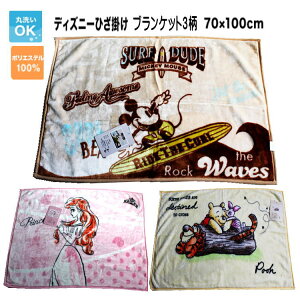 ディズニー ブランケット 毛布 タオルケット 通販 価格比較 価格 Com