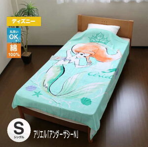 ディズニー シングルサイズ 毛布 タオルケット 通販 価格比較 価格 Com