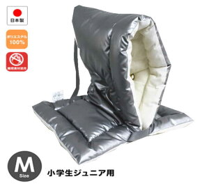 {hF hГ hA~ hЃNbV MTCY { hiwWjApj42×28cmhЂ hЃObY