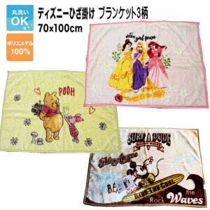 fBYj[ Ђ|ѕzuPbgi70×100cmj􂦂 EHbVu Q u[ Ђ| uPbg H~t  킢 LbY disney vZX ܂̃v[ ~bL[ A