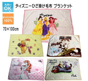 y|Cg10{IzfBYj[ Ђ|ѕzuPbgi70×100cmj􂦂 EHbVu Q u[ Ђ| uPbg H~t  킢 LbY disney vZX ܂