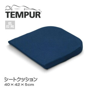 TEMPUR es[ V[gNbV LTCY ֎q NbV zc ItBX fXN[N ݑ `FANbV ֎qp ItBX`FA ᔽ K  d _[Nu[ 3Nۏ