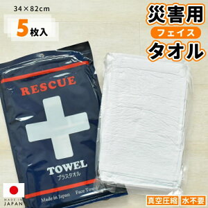 ^󈳏k vX^I {tFCX^I5giN-PT222051jЊQ΍ 펞 ւ̔ hЃObY