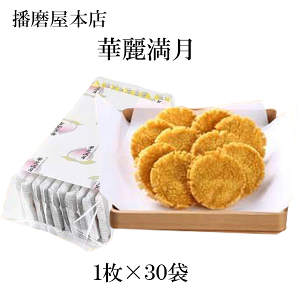 d{X@ؗ햞@p܁@v[g@Mtg