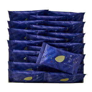 ق̋Gӂ̂ˁ@GT@20@hV̓@Mtg